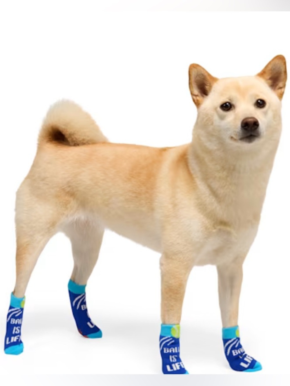 New Pet Socks for Dogs - Mint Green & Blue, Medium